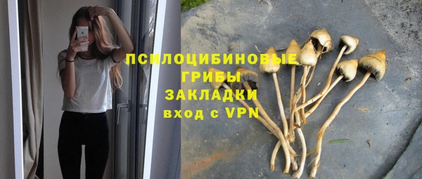 a pvp Алексеевка