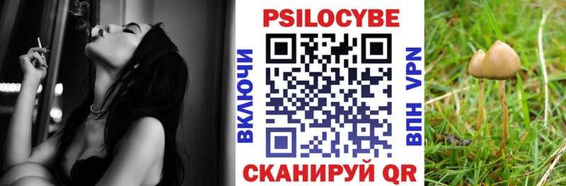 Псилоцибиновые грибы Magic Shrooms  Солнечногорск 