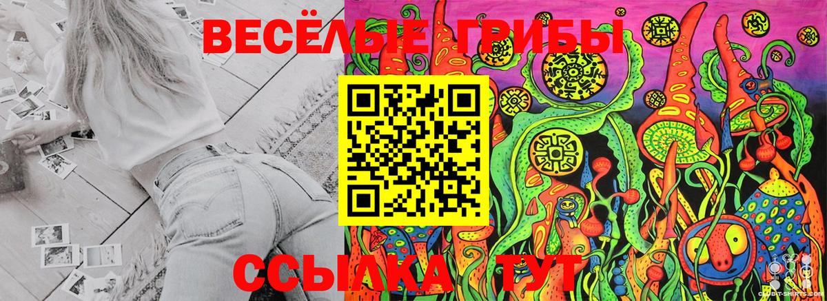 Солнечногорск  купить наркоту  Псилоцибиновые грибы MAGIC MUSHROOMS  Вход с VPN  Галлюциногенные грибы прущие грибы 